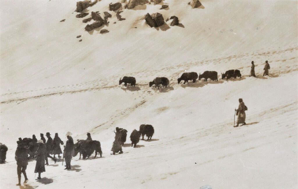 Met yaks over de Khardung La, links met witte hoed Jenny