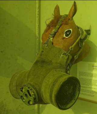 Gasmasker voor een paard