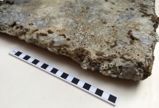Detail van een marmeren tegel gevonden bij het wrak van de Klein Hollandia