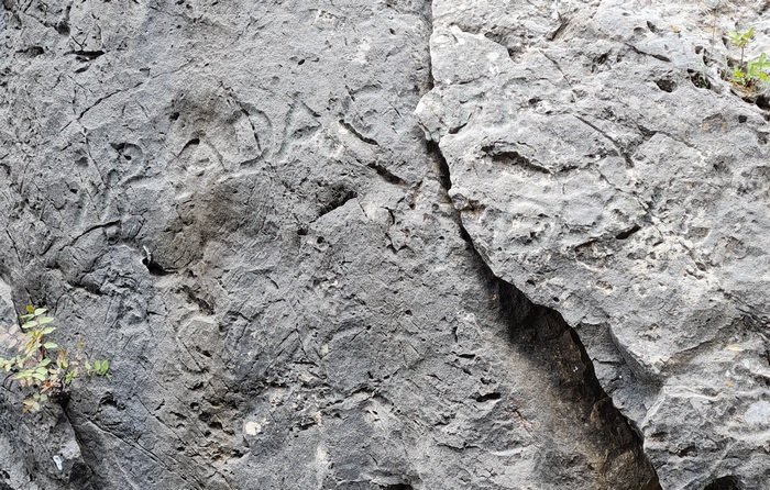 Een inscriptie op de Jabal Moussa; let op het AG IV CP op de onderste regel