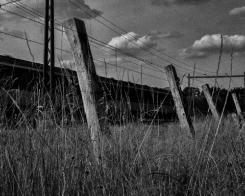 Campagnebeeld van de tentoonstelling 'De fotograaf van kamp Westerbork'