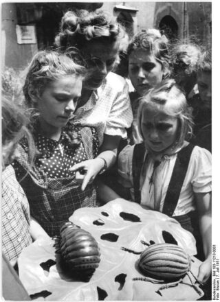Kinderen die de Coloraddokevers en larven gaan rapen, krijgen uitgelegd hoe de dieren eruitzien. Oost-Duitsland, 1951