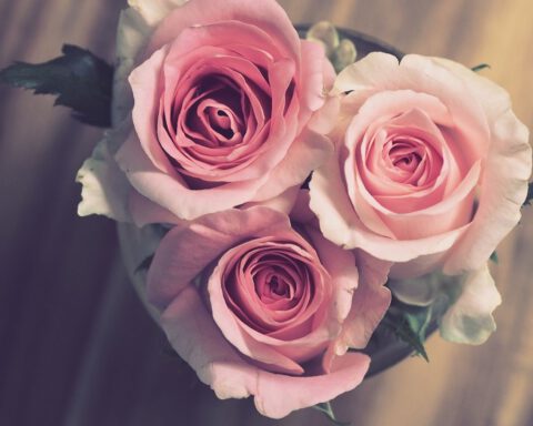 Boeket rozen, een prima geschenk tijdens een huwelijksjubileum
