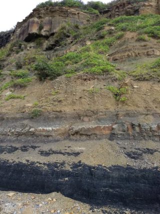 Permisch-Trias grens bij Frazer Beach in New South Wales, met de Perm-Trias-massa-extinctie gelegen net boven de kolenlaag.