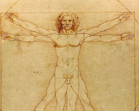 Vitruviusman van Leonardo da Vinci - detail