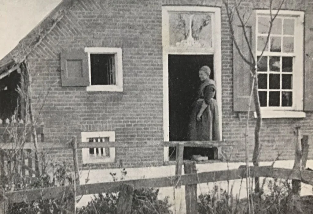 Vrijvenstertje - Afbeelding uit het boek van Dirk Jan van der Ven