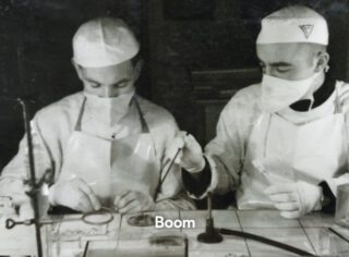 Vlektyfus. Biografie van een bacterie