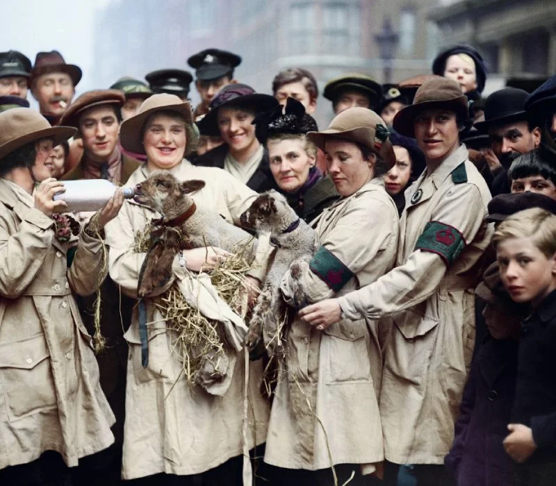 Women's Land Army (1918)