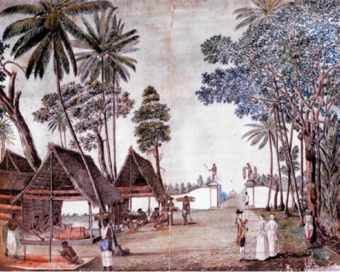 Illustratie van predikant Jan Brandes op Sri Lanka in 1785: kaneelschillers op een kaneelplantage in een buitenwijk van Colombo.
