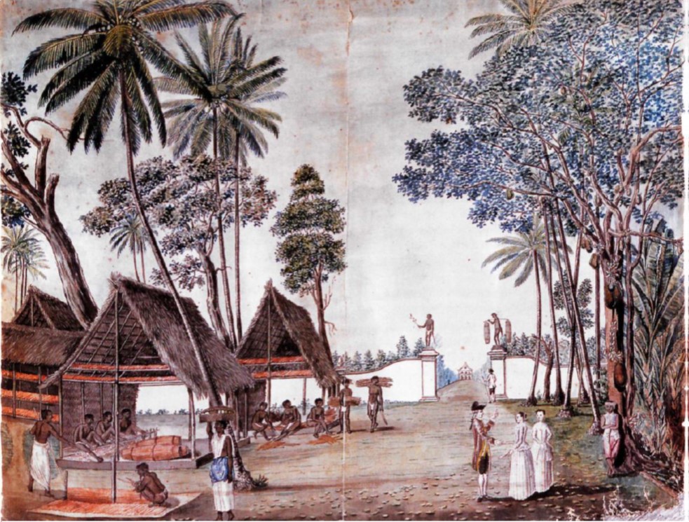 Illustratie van predikant Jan Brandes op Sri Lanka in 1785: kaneelschillers op een kaneelplantage in een buitenwijk van Colombo.