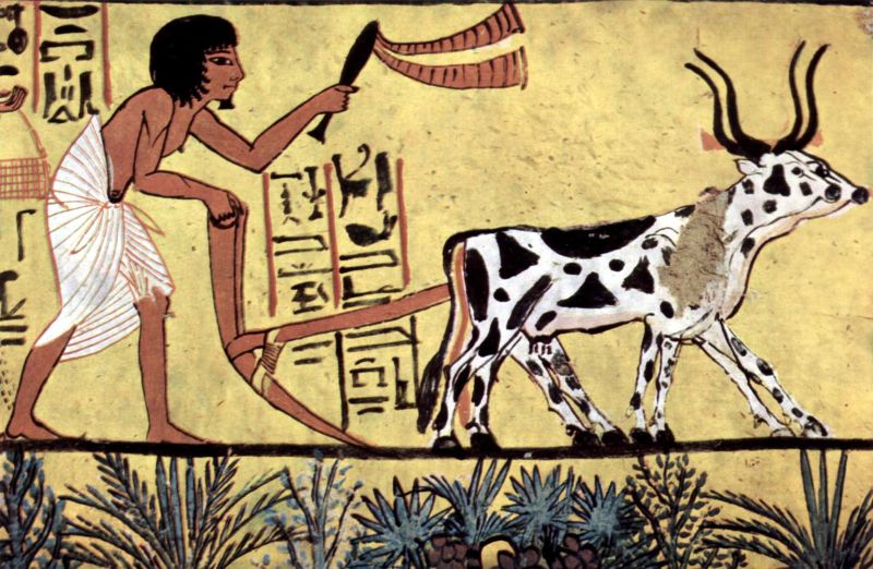 Ploegende boer in het oude Egypte, ca. 1200 v.Chr.