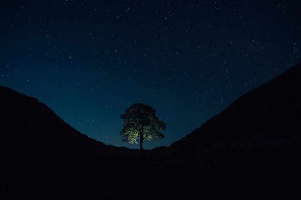 Sycamore Gap Tree bij nacht