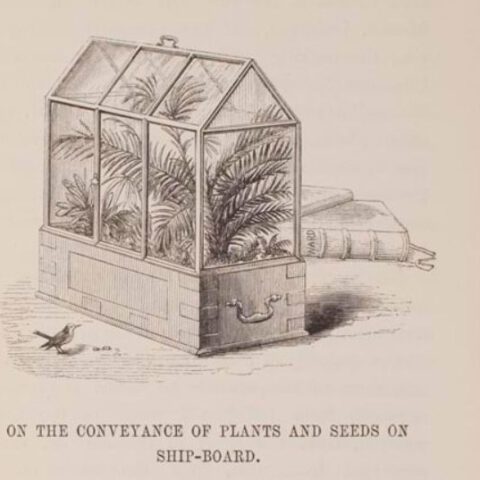 ‘On the growth of plants in closely glazed cases’ door Dr. Ward, 1852. Harvard University, Gray Herbarium Library