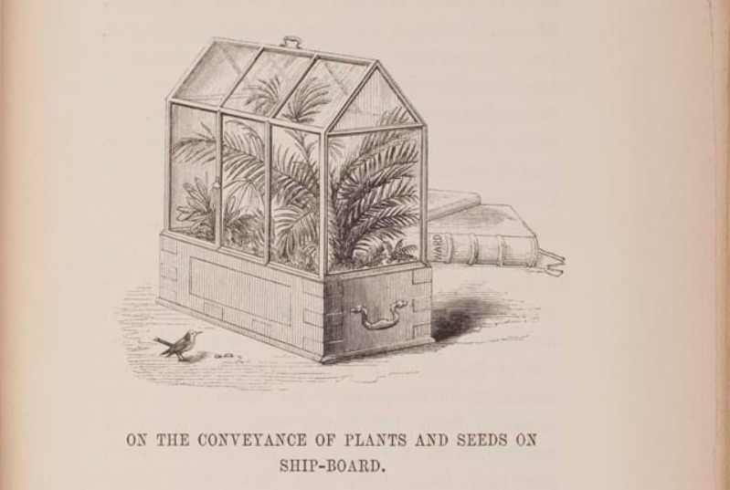 ‘On the growth of plants in closely glazed cases’ door Dr. Ward, 1852. Harvard University, Gray Herbarium Library