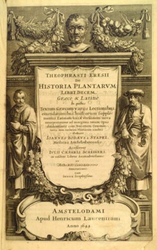 Historia Plantarum van Theophrastus