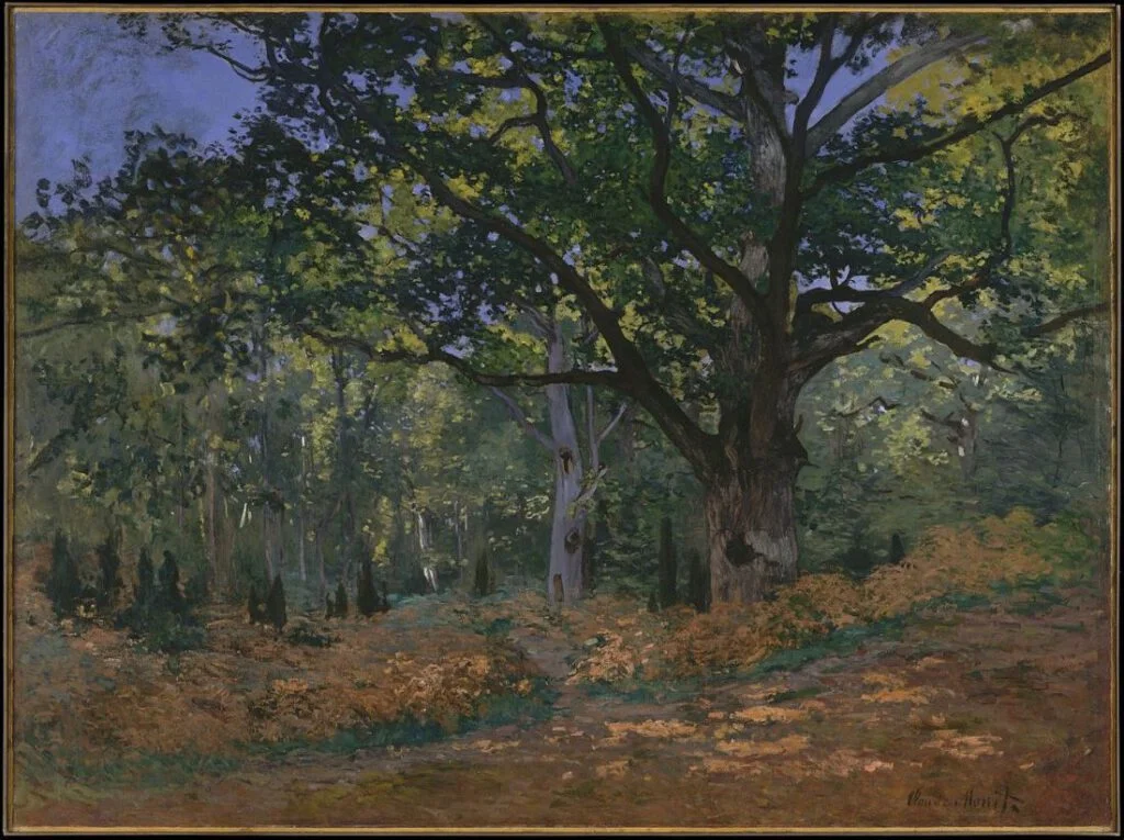 Le Chêne Bodmer, Forêt de Fontainebleau Claude Monet, 1865