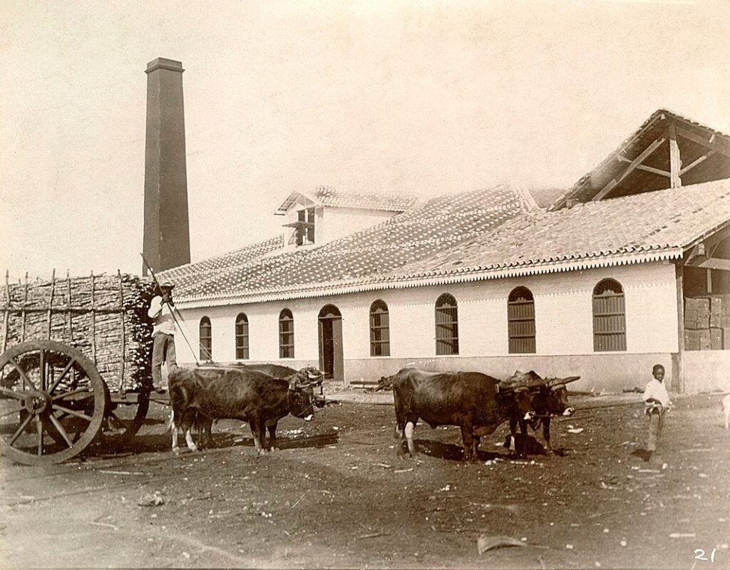 Suikermolen, provincie Matanzas, Cuba (1898)
