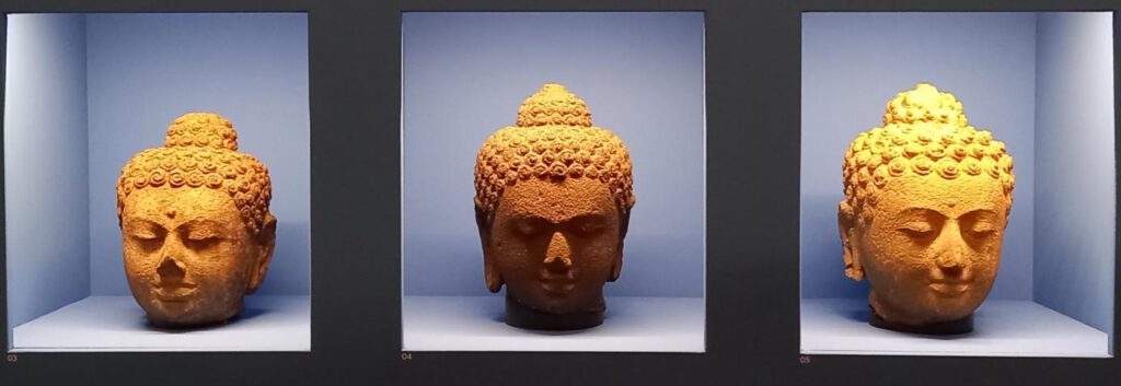 Boeddhakoppen op de tentoonstelling 