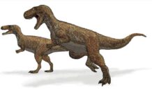 Dinomanie: van stenen balzak tot geëxplodeerde botten