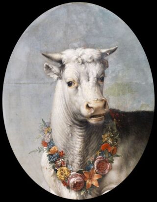 Paulus Potter, Kop van een witte stier, ca. 1643-47