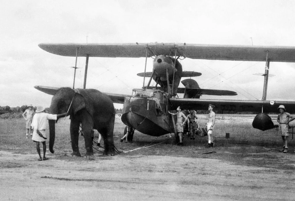 Een olifant trekt in India een amfibische vliegboot, de Supermarine Walrus, 1944