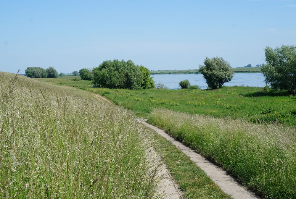 Een Hollands landschap langs de Wisla bij Tczew