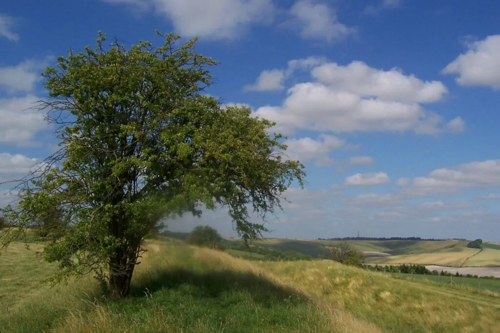 Wansdyke, wandelpad