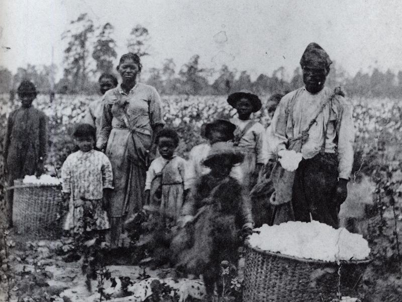 Een slavenfamilie op een katoenveld in de Amerikaanse staat Georgia, rond 1850. Zwarte slaven waren in de negentiende eeuw iets kleiner dan blanke Amerikanen, maar flink groter dan inwoners van West-Europa.