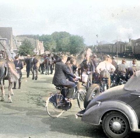 Paardenvordering in Schagen op 29 augustus 1939