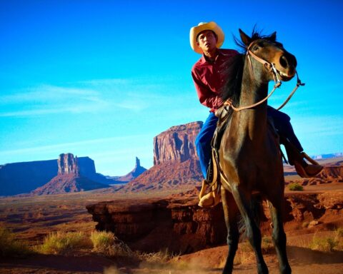 Navajo-cowboy in Arizona, 2011