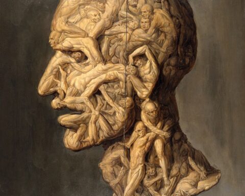 Testa anatomica - Filippo Balbi