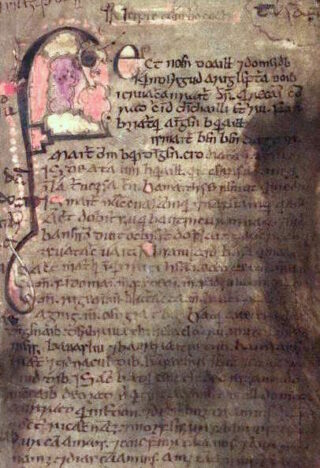 Pagina uit het Book of Leinster