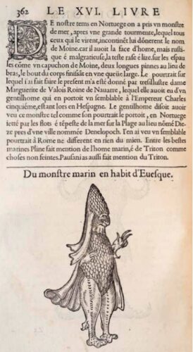 'Zeebisschop’ (Rondelet, 1558)