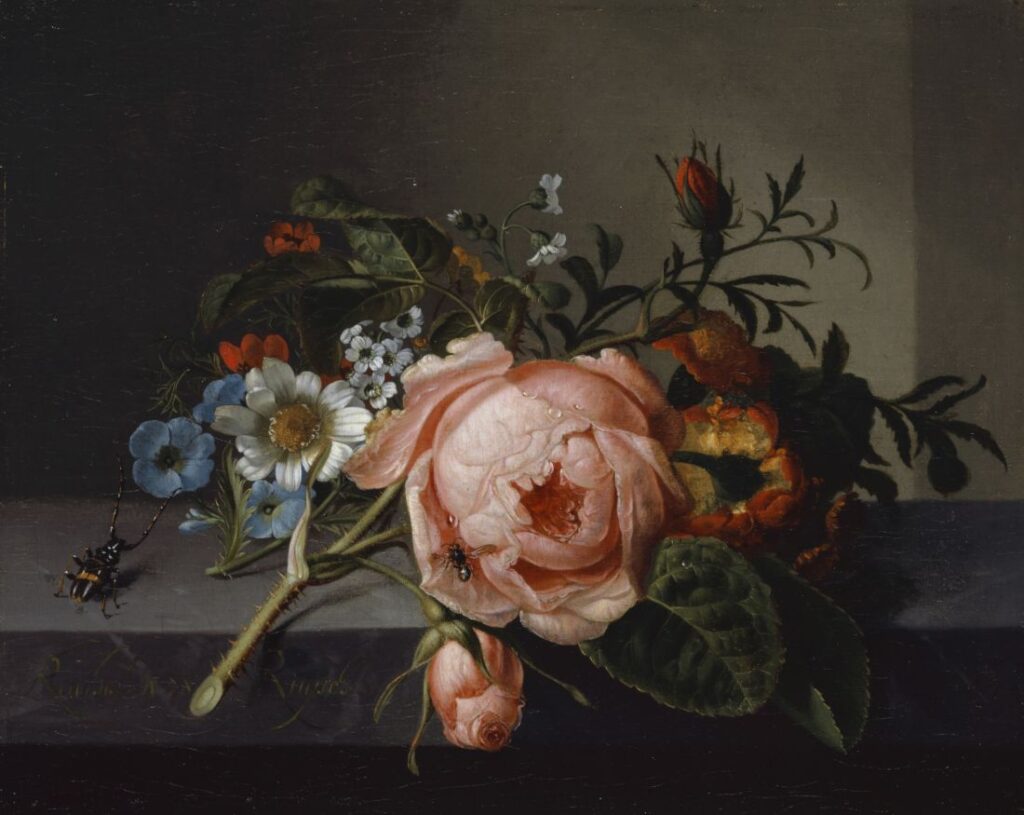 Stilleven met rozentak, kever en bij - Rachel Ruysch, 1741 