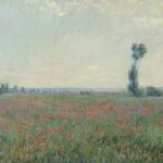 Claude Monet, Papaverveld (Champ de coquelicots), 1881, olieverf op doek, Collectie Museum Boijmans Van Beuningen, Rotterdam