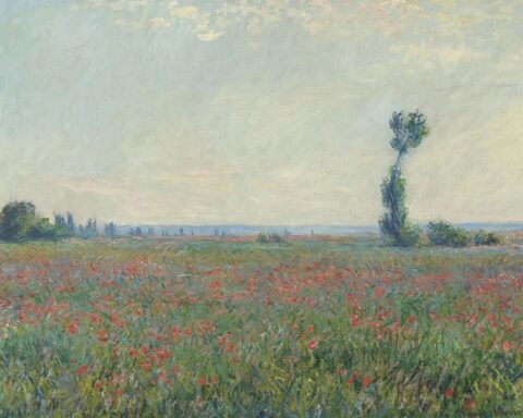 Claude Monet, Papaverveld (Champ de coquelicots), 1881, olieverf op doek, Collectie Museum Boijmans Van Beuningen, Rotterdam