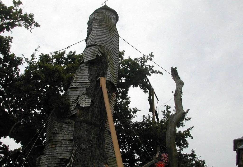 Zicht op de oude kapelboom van Allouville-Bellefosse
