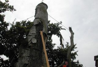 Zicht op de oude kapelboom van Allouville-Bellefosse