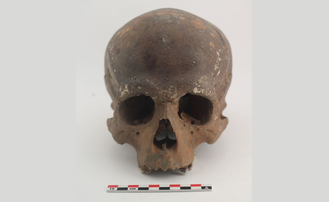 De oudste schedel van Vlaanderen, gevonden aan een stuw in Ename