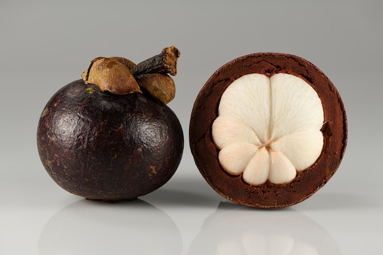 Mangistan of mangosteen, een van de vruchten die Fairchild tijdens zijn reizen ontdekte
