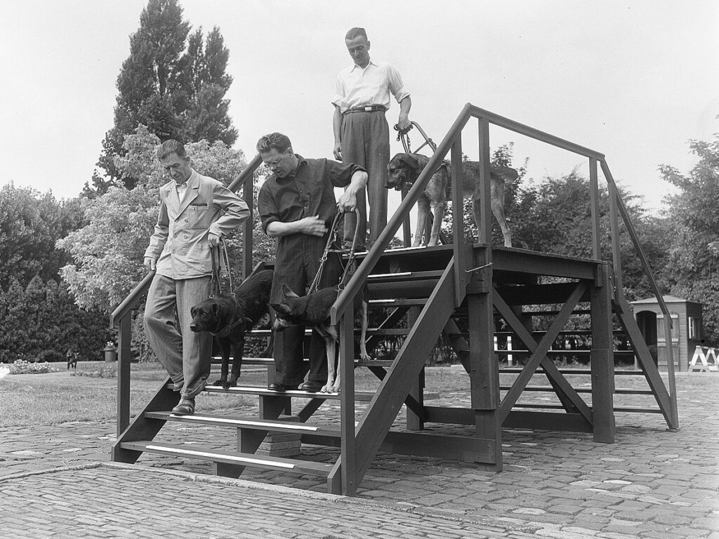 Blindenhondengeleidenschool in Amsterdam