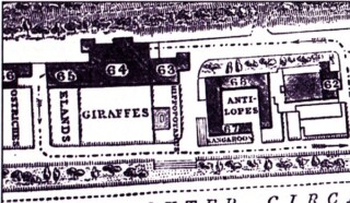 Deel van een kaart van de Londen Zoo uit 1853 met daarop ook het verblijf van Obaysch (63)