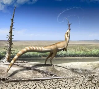 Reconstructie van een Sinosauropteryx