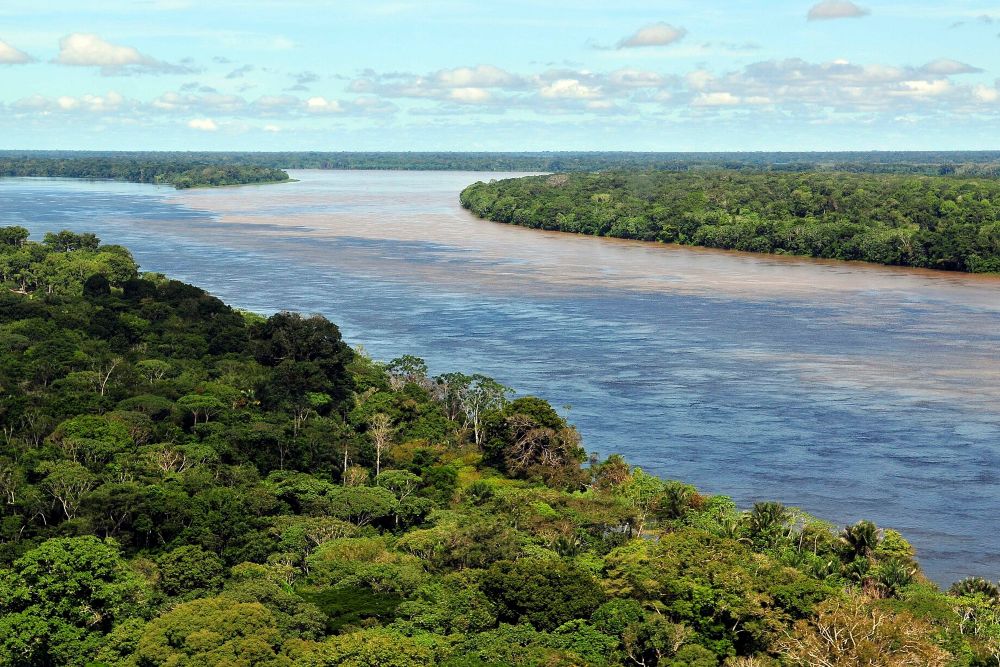 Amazoneregenwoud bij Manaus