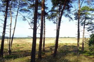 Hoog Buurlosche Heide