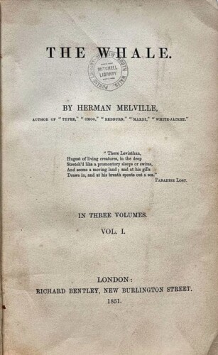 The whale or Moby Dick - Herman Melville