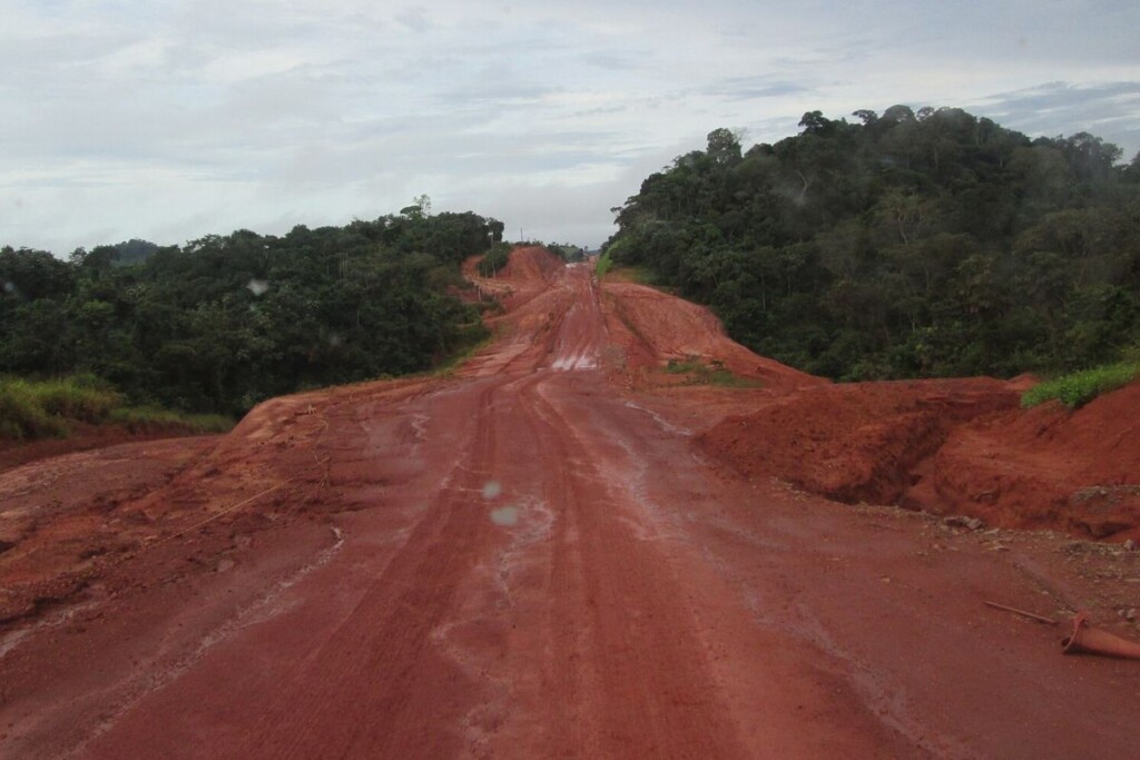 Trans-Amazoneweg tussen Rurópolis en Uruará, Pará