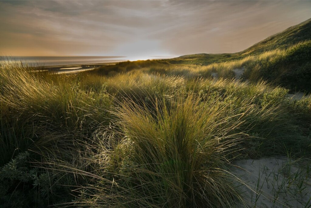 Nederlands kustlandschap