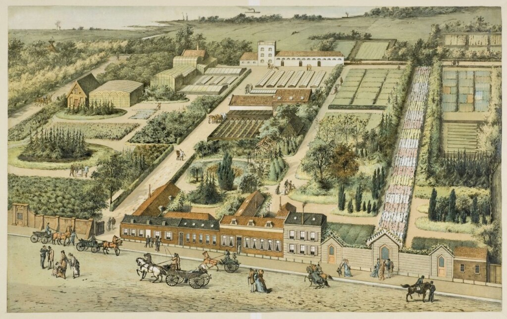 Prent van kwekerij de Bloemhof van de firma Krelage