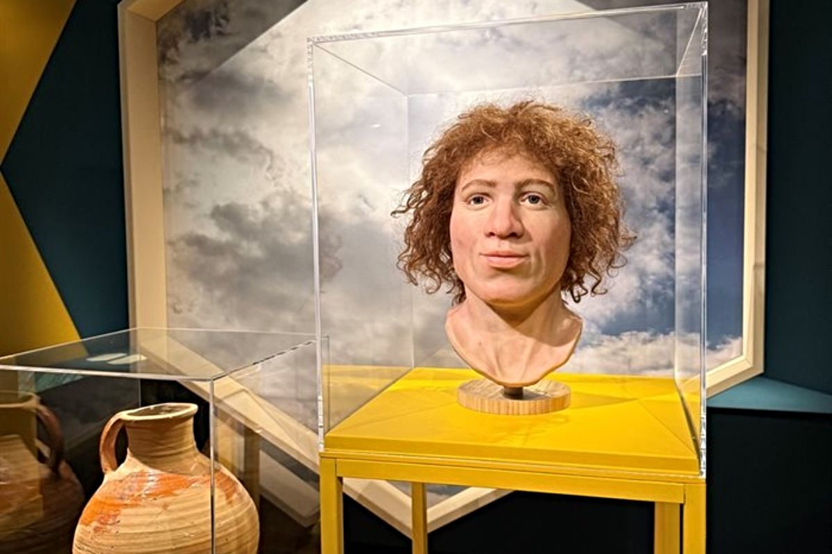 De gezichtsreconstructie van Alewijn